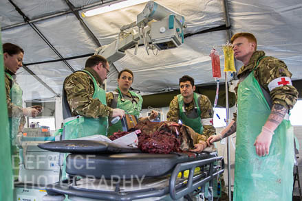 Force Troops Command show off their capability, Defence Photography